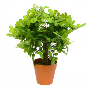 Растение искусственное Трава Мурайя в кашпо, h=30 см